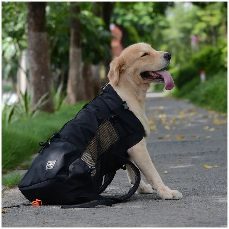 Hiking Pet Carrier Backpack