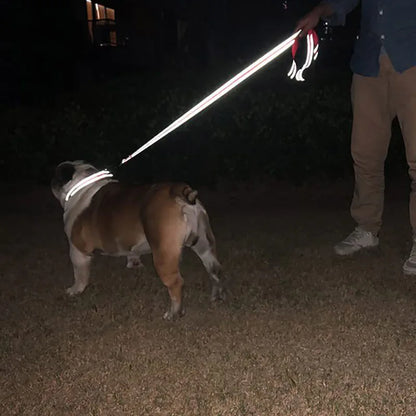 Reflection Pet Towing Rope