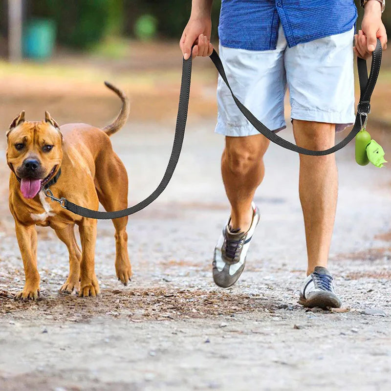 Reflection Pet Towing Rope
