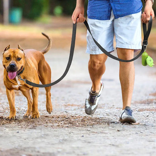 Reflection Pet Towing Rope