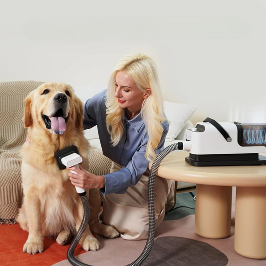 Pet Grooming Vacuum Dryer